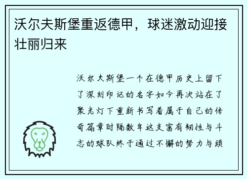 沃尔夫斯堡重返德甲，球迷激动迎接壮丽归来