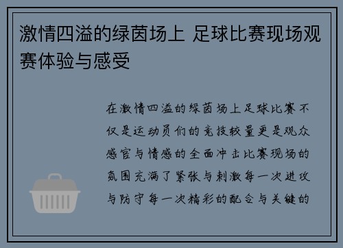 激情四溢的绿茵场上 足球比赛现场观赛体验与感受